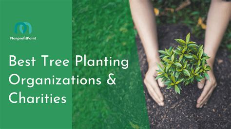 tree planting non profit organizations